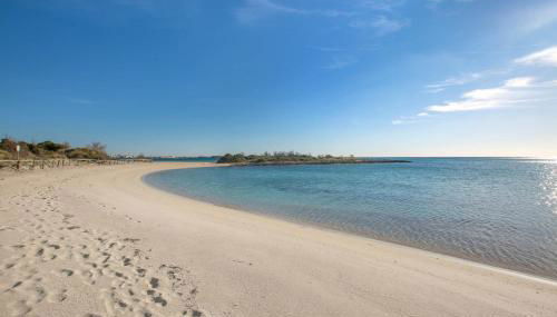 2691 Appartamento Exotic by Barbarhouse - Foto 2