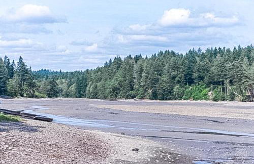 Heron Reach - Foto 31