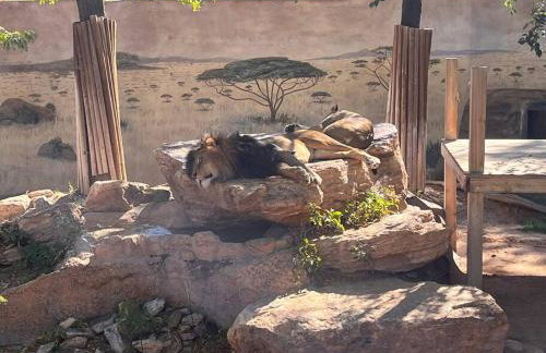 Saguaro at Cactus Flower-HOT TUB-Pet Friendly-No Pet Fees! - Foto 58