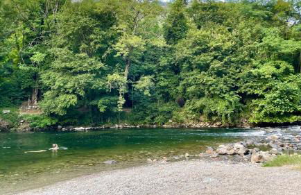 Les Années - Maison de famille - Plateau de Beille - Foto 34