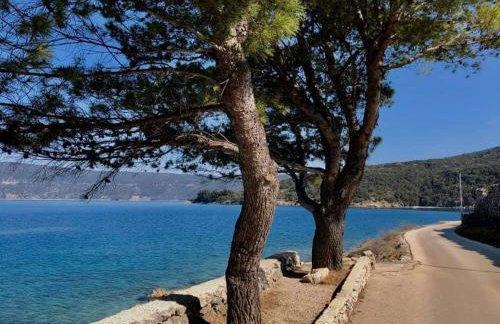 Stone Cottage Cesarovina - Foto 67