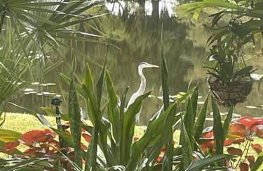 Unwind Island - Photo 24