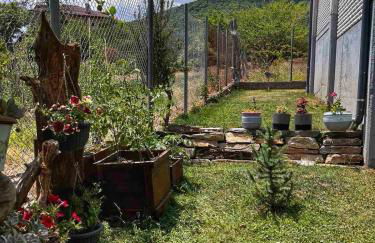 Ιξός Home - Photo 6