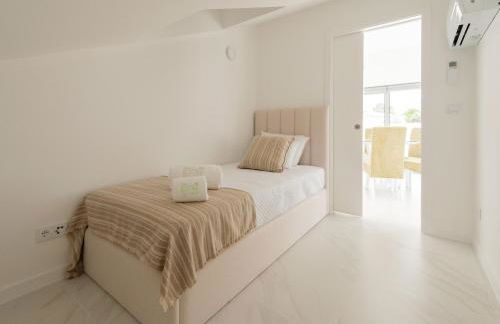 Sun House - Alojamento Local - Ponte de Lima - Photo 46