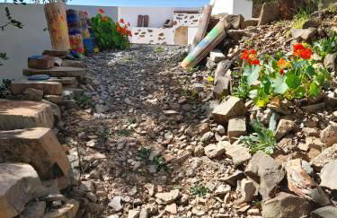 Natur Amêndoa - Photo 79