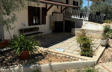 Uliveto Benedetti - Foto 9