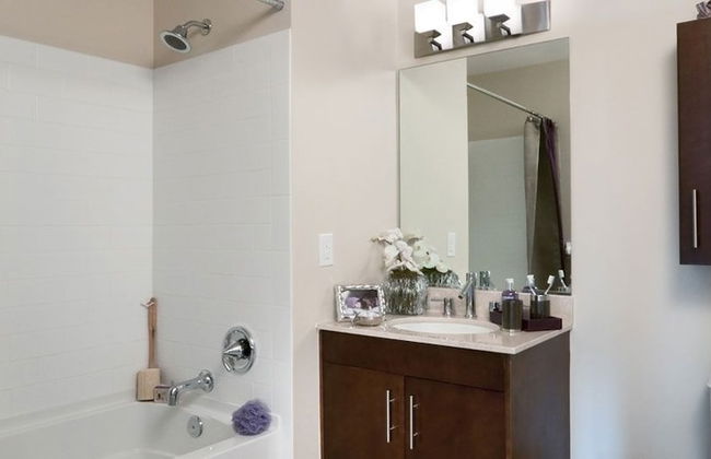 Luxy Suites Washington - Foto 10