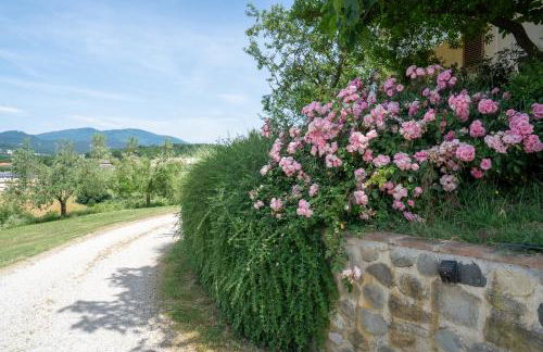 Agriturismo Val della Pieve - Foto 43