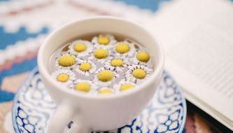 Monolocale I Corbezzoli - Foto 5