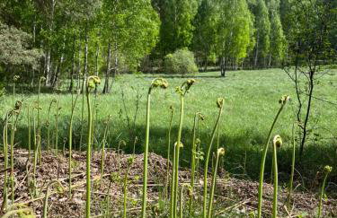 Dobrostan Domek w Naturze - Foto 25