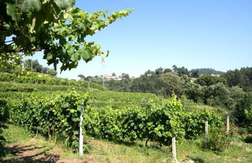 CASA DAS FONTELAS - Foto 69