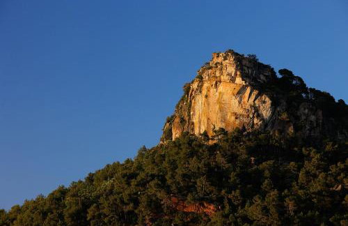Foïna dels Fontanals - Foto 5