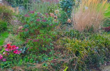 Camembert & Crustacés - Foto 49