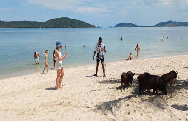 Koh Samui Island Hopping e mergulho com snorkel: Ilha dos Corais e dos Porcos - Tour de dia inteiro - Foto 10