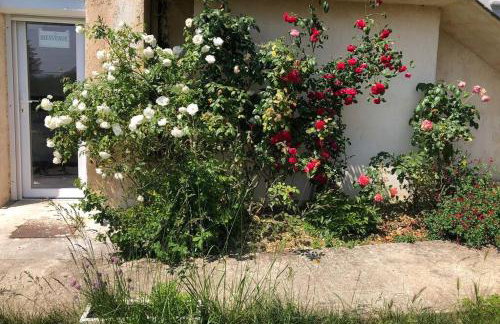 Le jardin suspendu - Foto 17