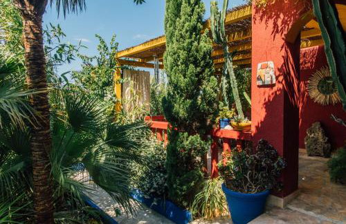 Villa Tropica, total privacy, tropical garden and private pool - Photo 19