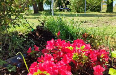 Villa Dinah 17 Maison dans la campagne Rochelaise - Foto 22