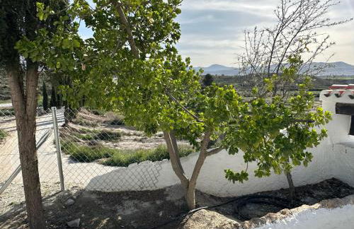 Alojamientos CUEVAS TIANA - Photo 22