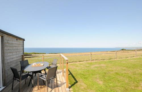 Lundy View Chalet - Foto 18