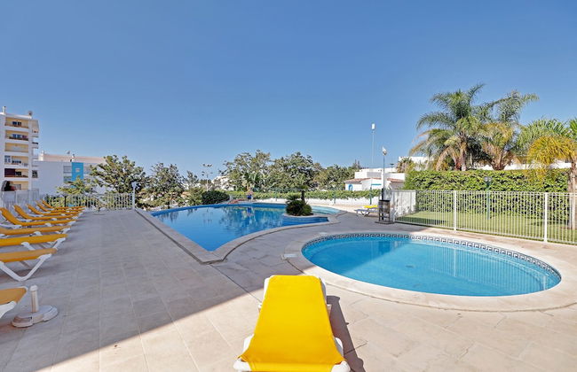 Armação DE Pera Central by Homing - Foto 1