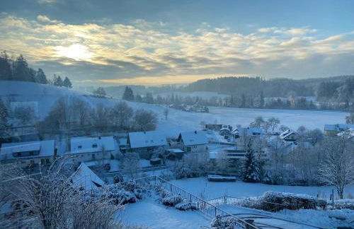 Ferienwohnung Bergblick Wangen im Allgäu mit Garten, 2022 komplett renoviert - Foto 20