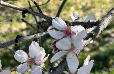 Alcarria , Casa del Agua - Foto 9