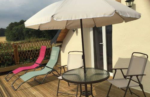 L'appel de la foret - Foto 11