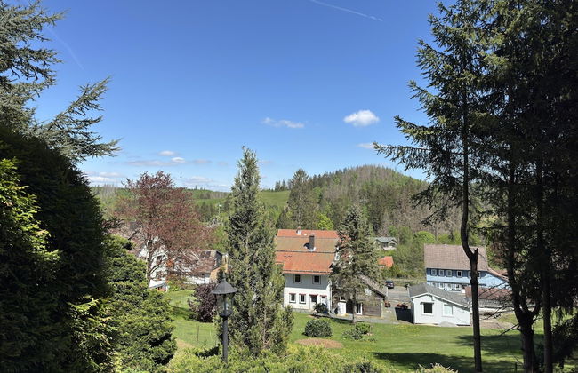 Apartment in Altenau Near Hexenstieg Trail - Photo 38