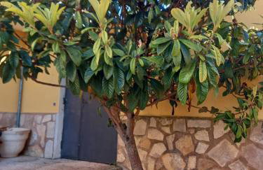 CASA RuRAL LOS DESAYUNOS - Photo 57