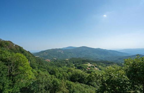 Il Moro-Gemme Del Casentino - Foto 34