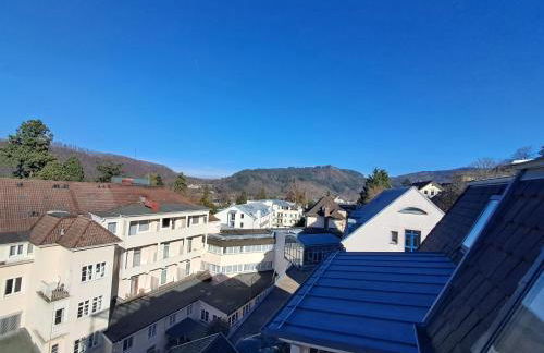 Penthouse über den Dächern Badenweilers - Foto 28