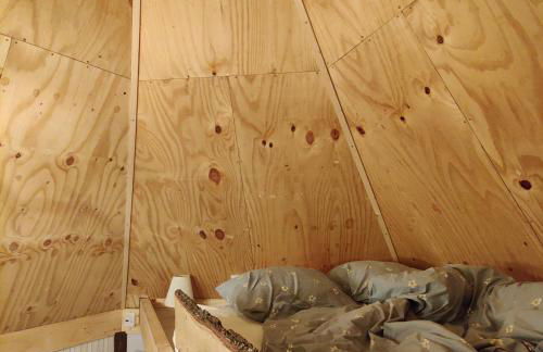 Finnish Kota - Photo 12