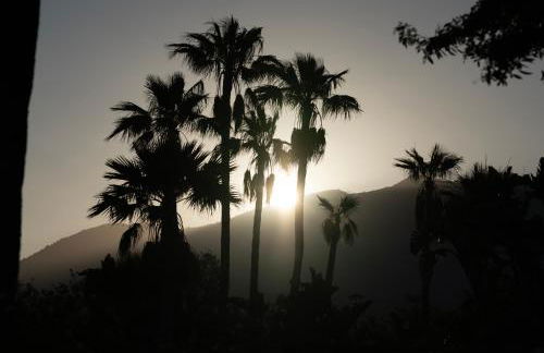 Apartamento en Benalmádena - Coloso - Foto 41