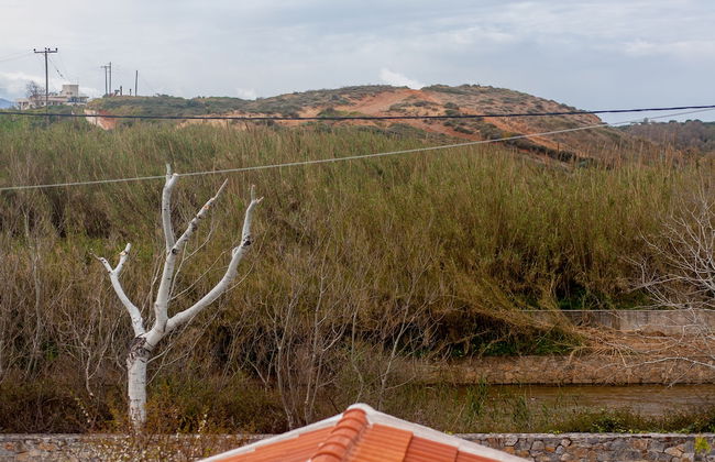 Nima's Beach Apartment - Foto 18