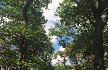 Cosy 3 Zimmer Whg incl großer Wohnküche, Smart TV, WLAN, Eutelsat & Astra Satelliten TV, viele Parkplätze vorhanden, Langzeitmiete - Foto 15