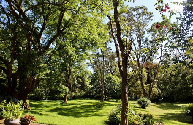 2 Bedroomed House With a Lovely Garden - 2177 - Foto 8