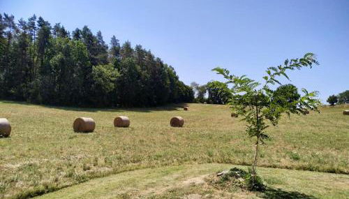 Gîte Coquelicot cadre idyllique au calme - Foto 3