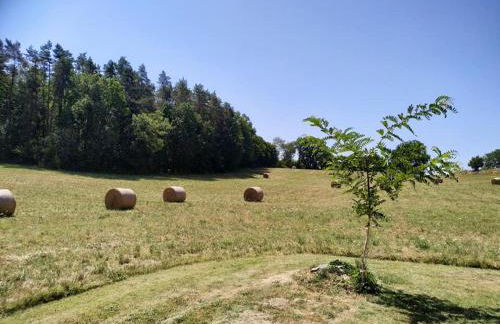 Gite Acacia au coeur du Triangle d'Or en Dordogne - Foto 12