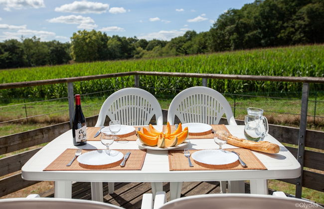 Olydea Cassen - Foto 37