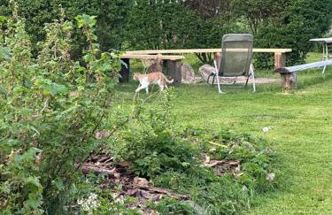 Smrek Sokolec Agroturystyka - Foto 23