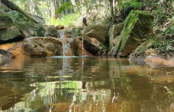 Refúgio Mata Atlântica, Riacho, Piscina, Natureza - Foto 49