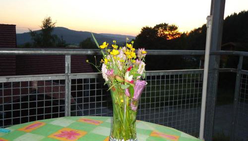 Ferienwohnung Bodenmais am Silberberg - Foto 5