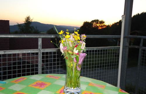 Ferienwohnung Bodenmais am Silberberg - Photo 5