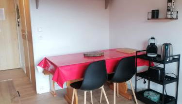 CŒUR D'ALTAÏR RISOUL 1850 Appartement T2 confortable skis aux pieds - Foto 5