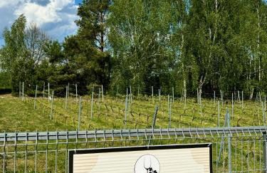 Apartamenty i Winnica - Siedlisko Na Polanie - Foto 53