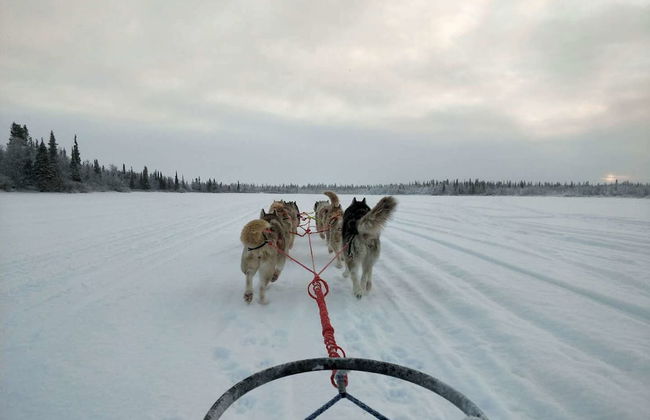 Bear Corner Lodge - Photo 27