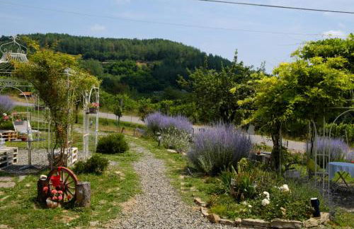 Tre colline in langa - Foto 15