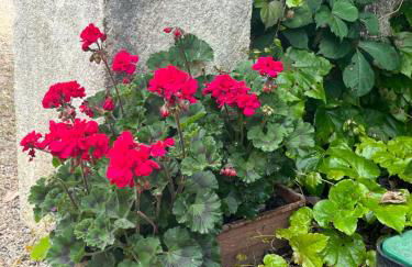 Gîte 5, Domaine Logis Gascogne - Photo 34