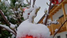 Ferienwohnungen Ortsried - Photo 2