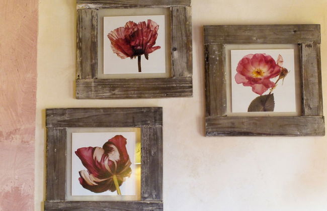 Oasi di Galbusera Bianca - Foto 23